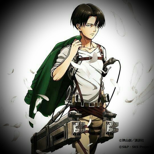 levi wings of freedom