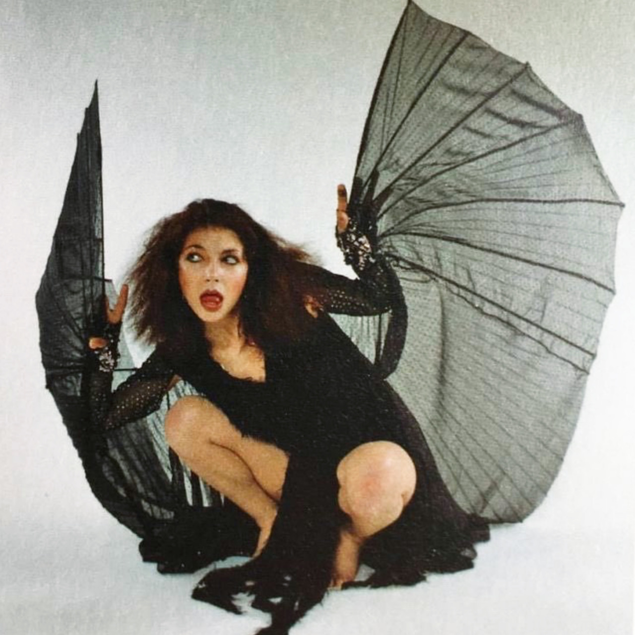 kate bush on Tumblr