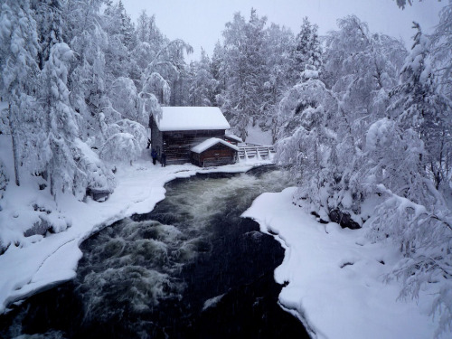 suomi-finland-perkele:Myllykoski, Pieni Karhunkierros Trail,...