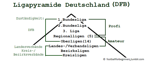 Football For Beginners — Lektion 5: Liga/Ligen