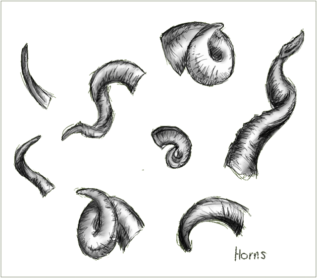 Art References and Tuturials anatoref How to Draw Horns Top Image 