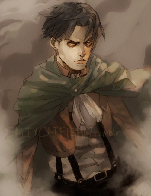 captain levi on Tumblr