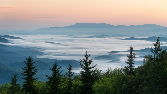 Above the Clouds (two). Shot at Sunrise near Mt. Mitchell over looking the Blue Ridge Mountains.