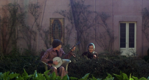 hirxeth:Harold and Maude (1971) dir. Hal Ashby