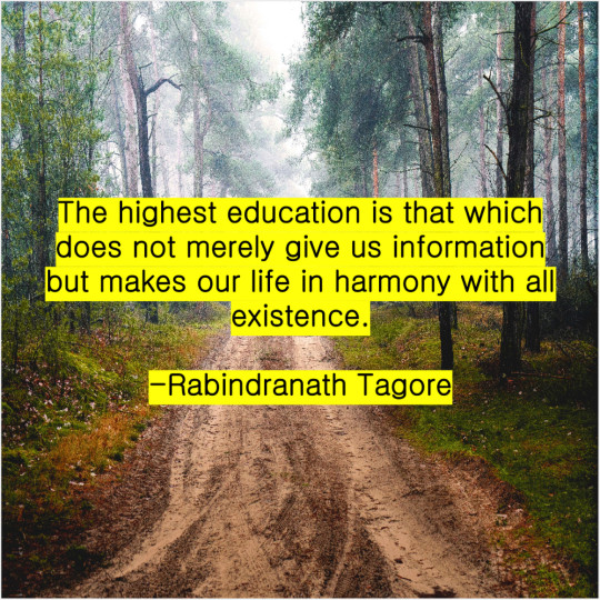 Sean Holden's Blog: Rabindranath Tagore – The highest education is that…