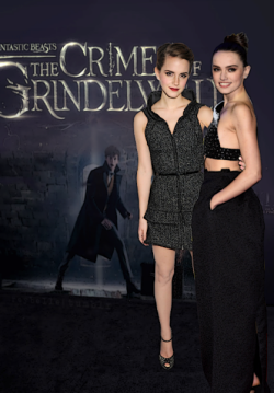 Emma Watson Manips Tumblr