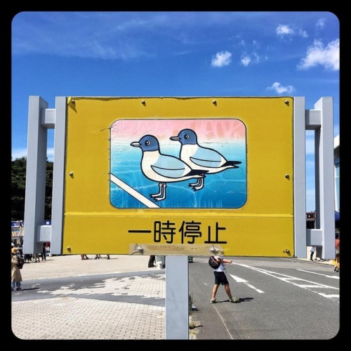 thoxt:停。（在 幕張海浜公園）