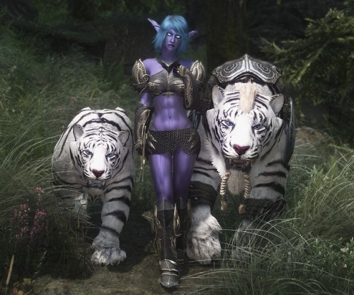 beaterbomb:Night Elf Ferrah, what should I say ,,,...