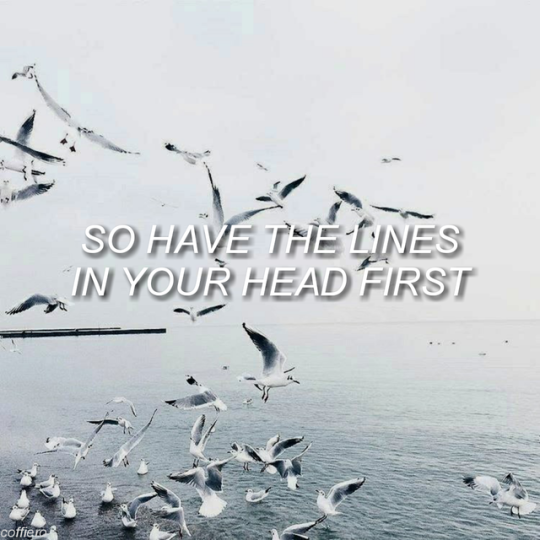Come Back Home By Two Door Cinema Club Tumblr