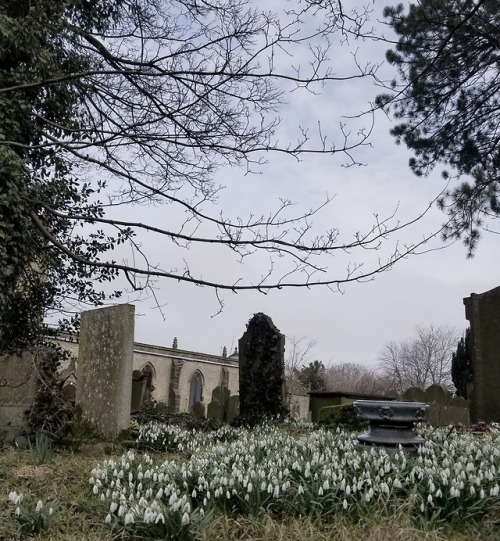 ringrose:A day at Castleton, March 9th 2018.Instagram:...