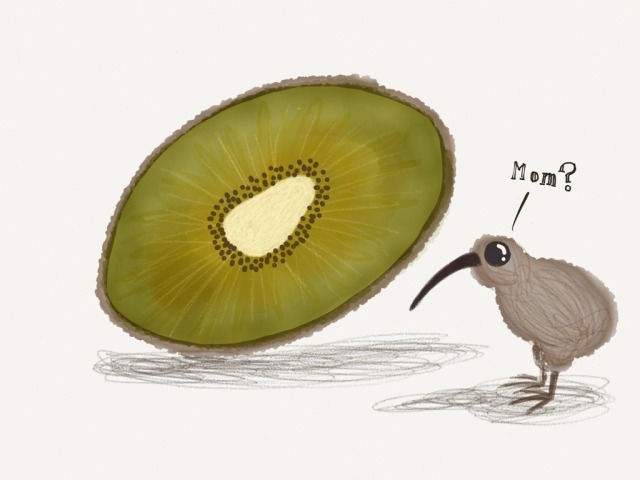Made With Paper — Kiwis Made With Paper by eguldhammer