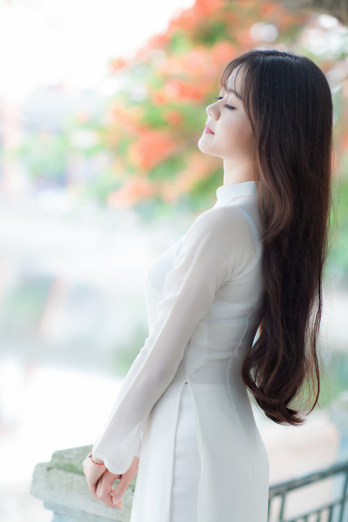 vietnamese-long-dress-ao-dai:Vietnamese long dress (Ao...