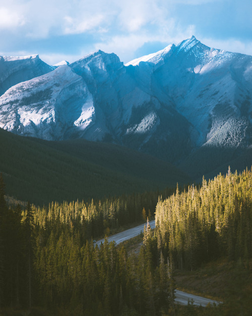 escapekit:Fall in Alberta . Seattle-based...