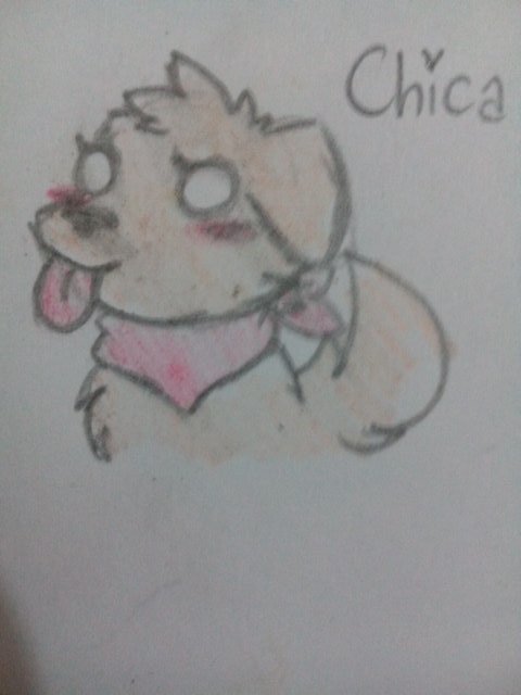 A Lil Chica Tumblr