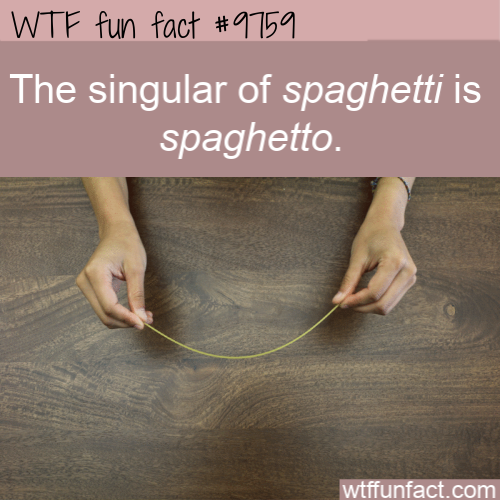  Amazing Random Fact: The singular of spaghetti is spaghetto.