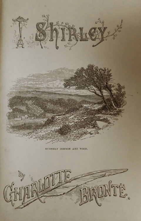 On this Day: Charlotte Brontë dies, 1855Perhaps no familyhas...