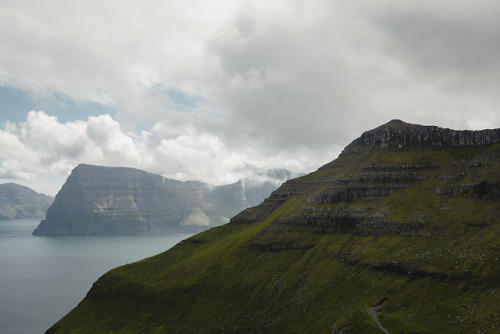 stephaniedolen:kalsoy