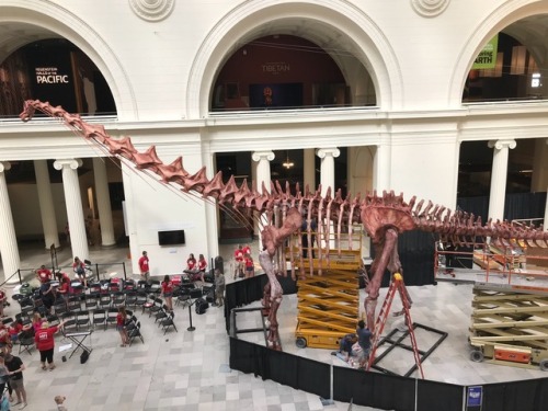 patagotitan field museum