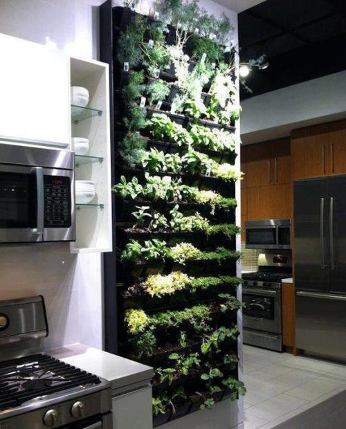 urbangreens:The ultimate spice rack!submitted by Anna C via...