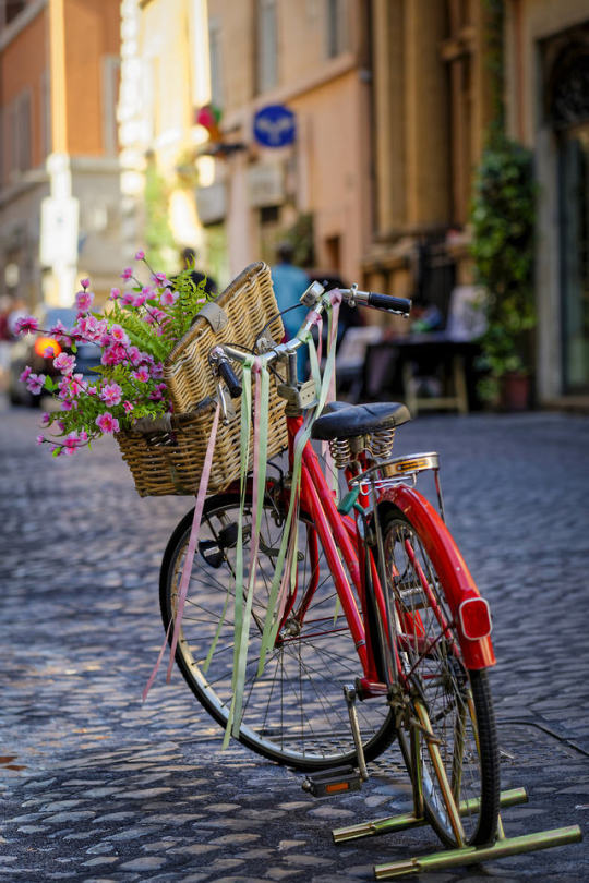 Flowery bicycle in the city center of Rome, Italy