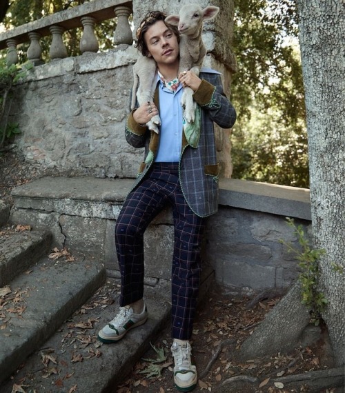 thedailyharry:Harry Styles for Gucci Cruise 2019 Tailoring...