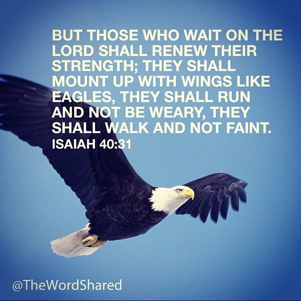 The WORD Shared — thewordshared: But those who wait on the Lord...