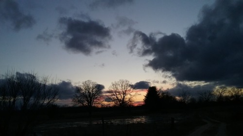 View of my back yard this evening