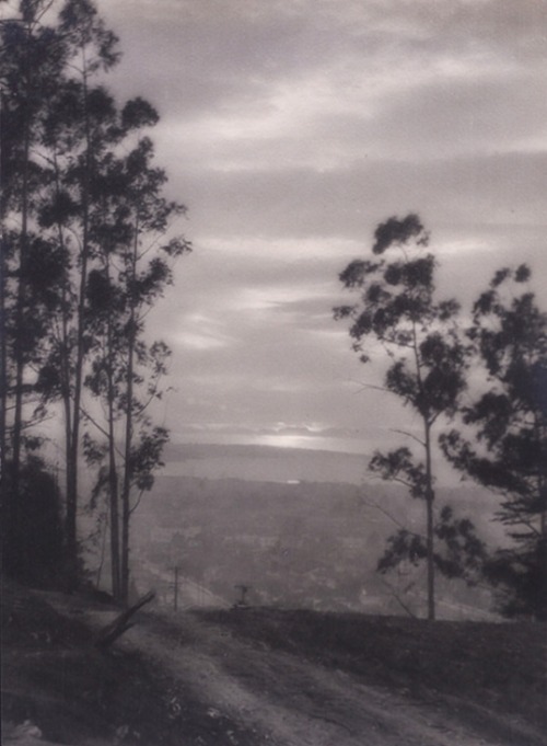 Evelyn Curtis - San Francisco bay, c.1920