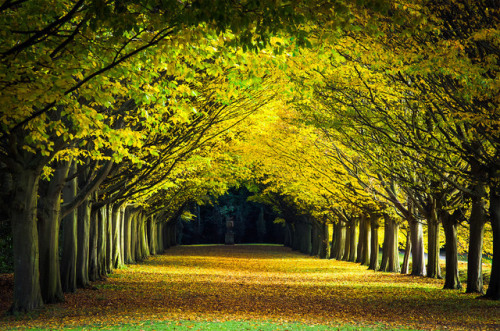 Anglesey Abbey, Cambridge, England