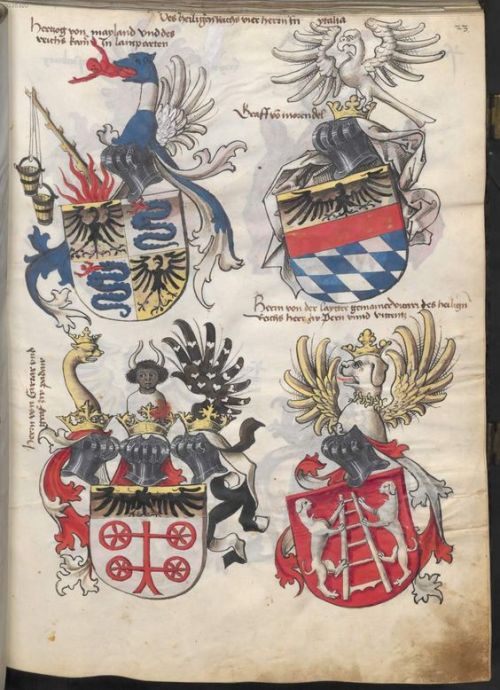 handsometruth:OLD European Coat of Arms