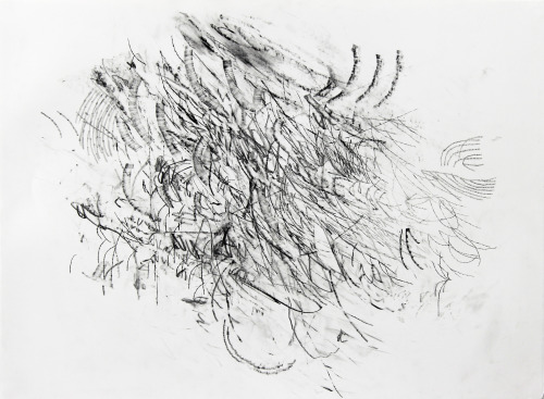 artist-as-collector:JULIE MEHRETU