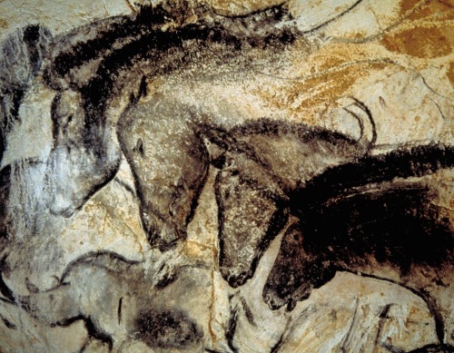 magictransistor:The Chauvet-Pont-d’Arc Cave, discovered near...