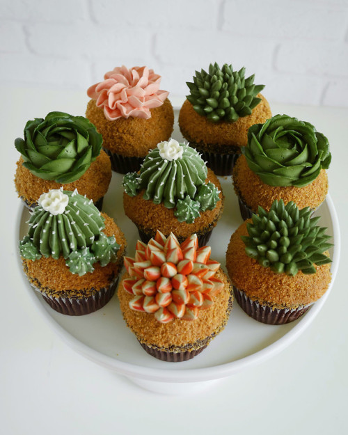 flowartstation:Succulents Decorate Cakes byLeslie Vigil