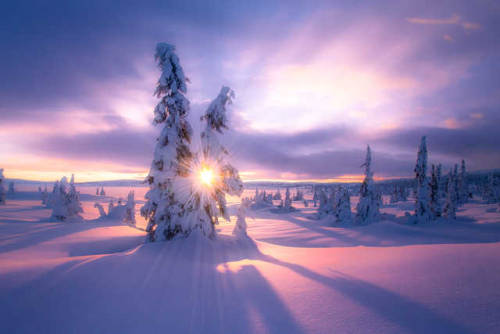 atraversso:Flawless Winter (photoset: by Jørn Allan...