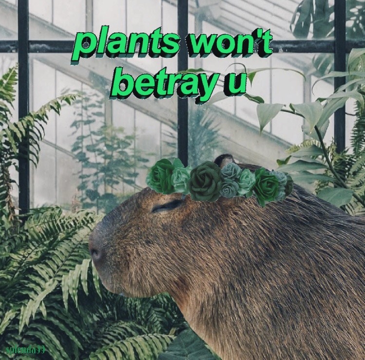 Capybara Aesthetic Green