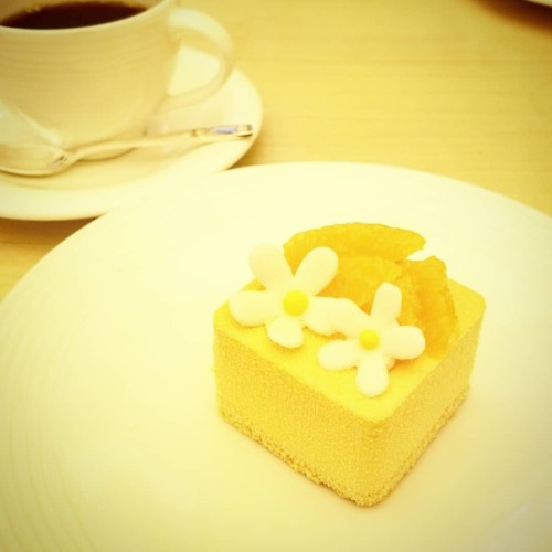 kyotosweetssupporter:マールブランシュ北山本店の｢花束｣ (オレンジムース)Orange mousse...