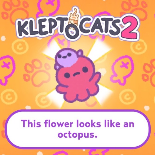 My furry friend brought me this! #KleptoCats #KC2 @HyperBeard...