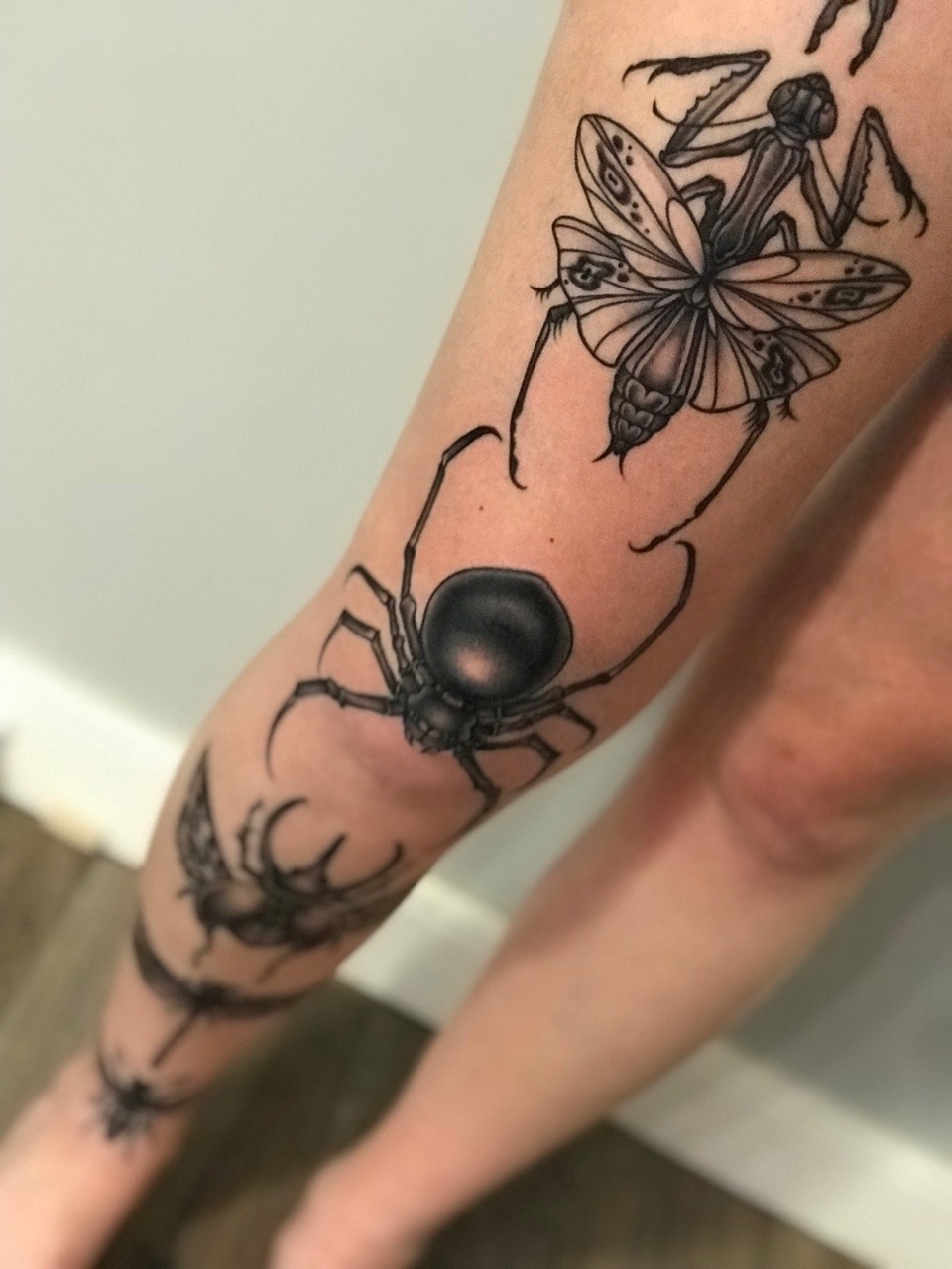  bug  tattoo  on Tumblr