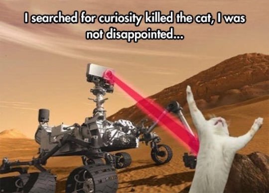 Busqué la curiosidad mató al gato