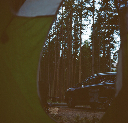 melanieonfilm:Camping in the Beartooth MountainsJune 2017