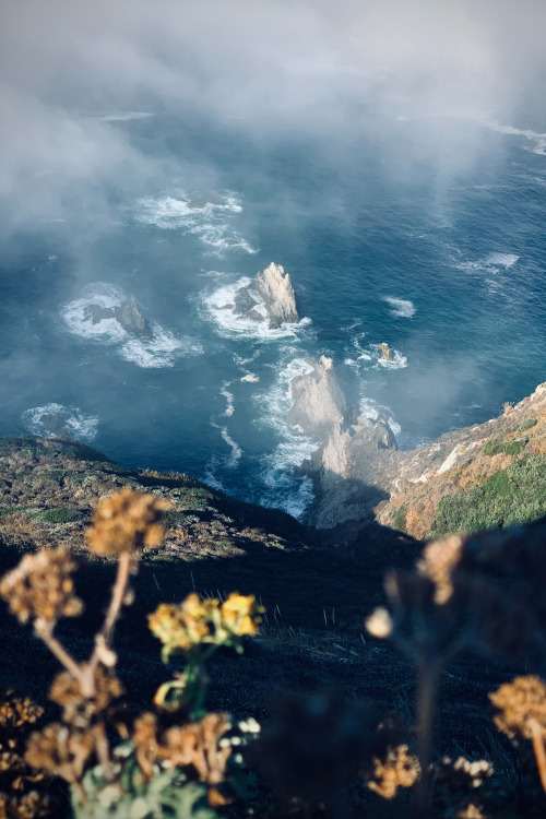 expressions-of-nature