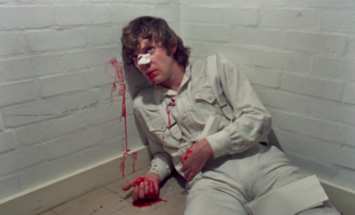 cinematapestry:“Violence makes violence.”-A Clockwork Orange...