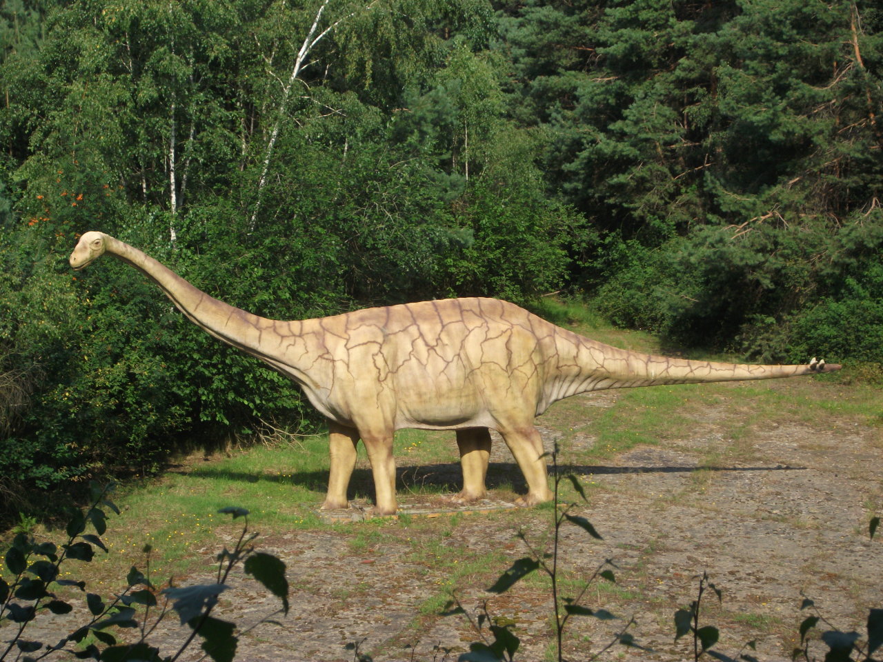 sauropod meaning