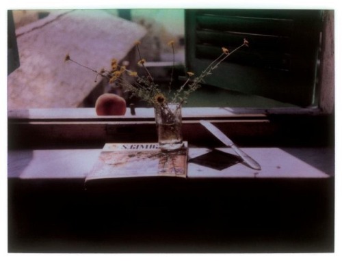 trulyvincent:Andrei Tarkovsky polaroids