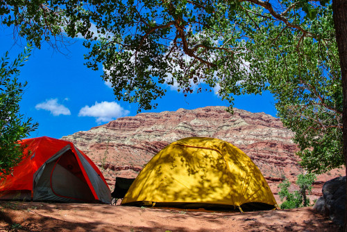 Outskirts of Zion, Utah, America