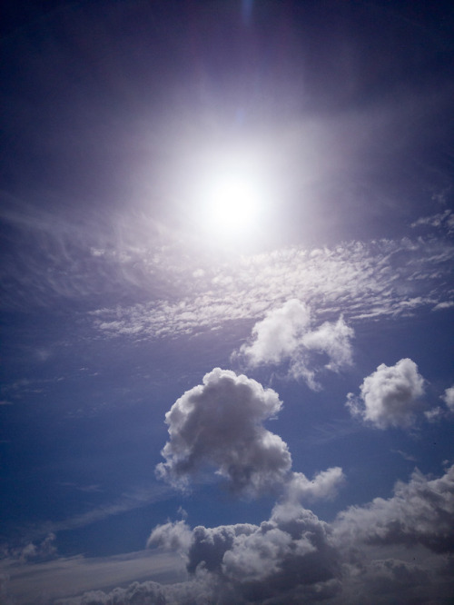 photographers on tumblr landscape cloudscape clouds baylands palo alto california