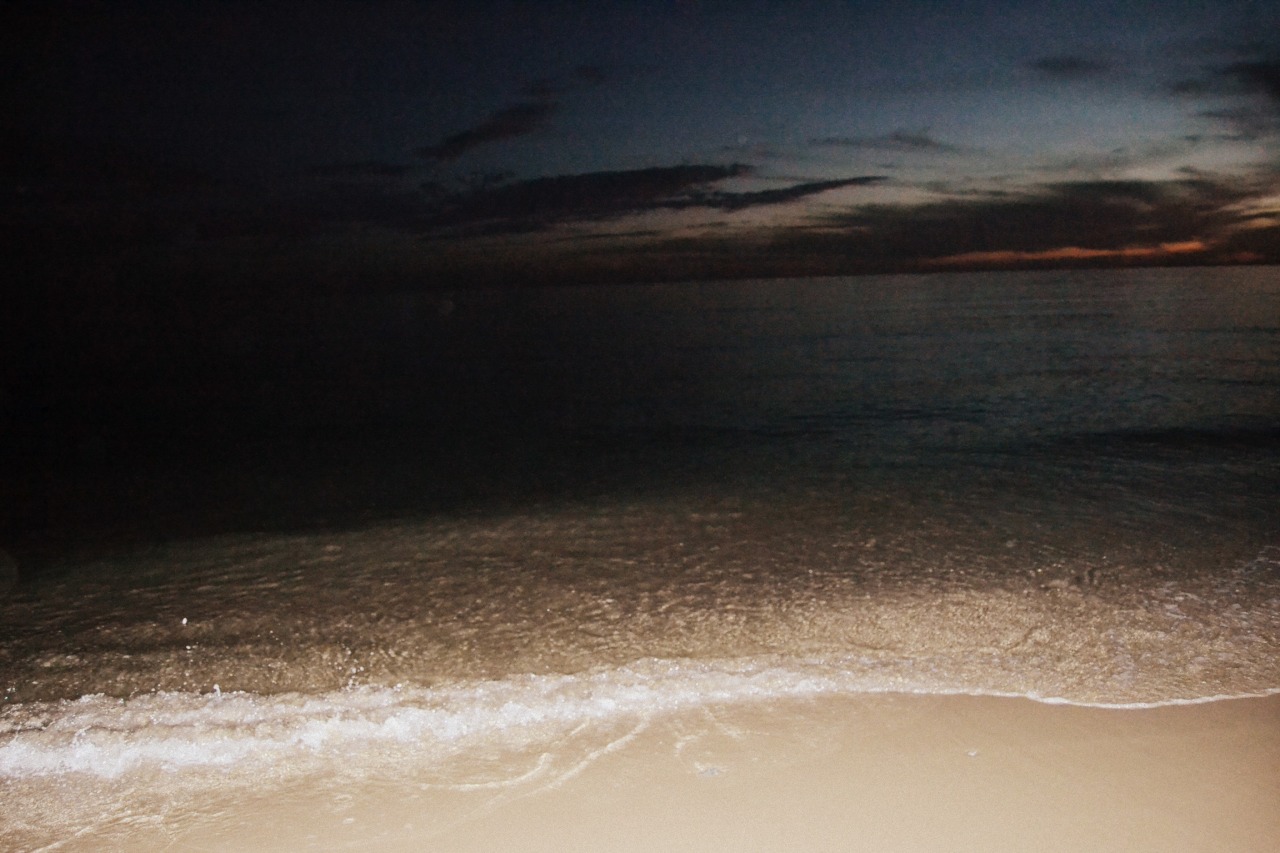 Включи dark beach. Пляж ночью. Ночь пляж крупным планом. Темнота пляж картинки. Блестящий пляж в ночи.