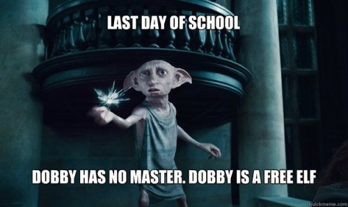 dobby has no master shirt