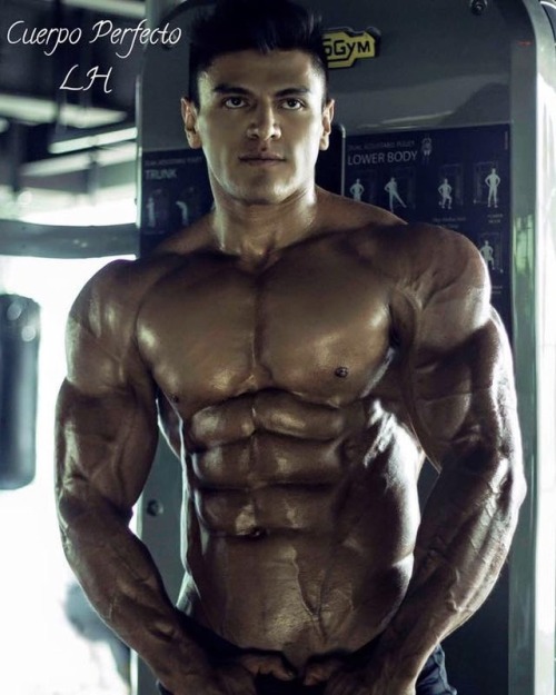 Leo HernandezIG: lhcuerpoperfectopro