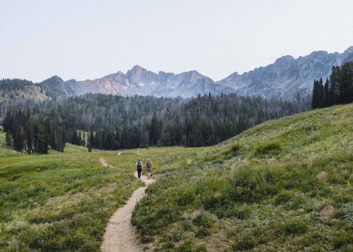 fieldandforest:SUMMER IN BIG SKYEndless mountain views,...